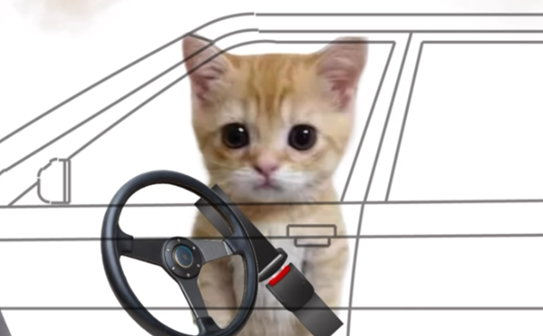 Image: ADOT uses meme cat to explain how not to die in a haboob