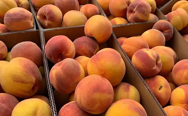 Image: Annual Peach Market returns to Fountain Hills Saturdays this fall