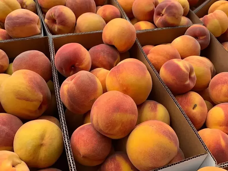 Image: Fresh freestone peaches are trucked in from Utah for each weekly event.