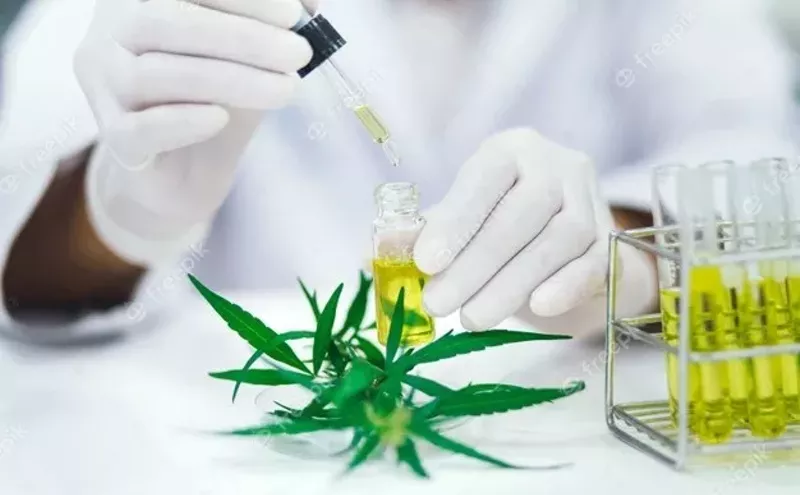 Image: Arizona's Cannabis Industry Safety Inspections Show "Growing Pains"