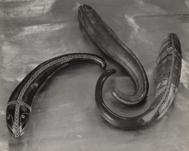 Image: "Three Fish Gourds" by Edward Weston, 1925.