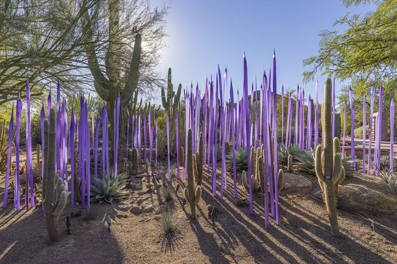Image: Dale Chihuly, Neodymium Reeds, 2021, Desert Botanical Garden, Phoenix.