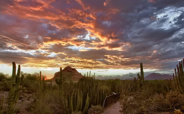 Image: Desert Botanical Garden in Phoenix offers monthly free day