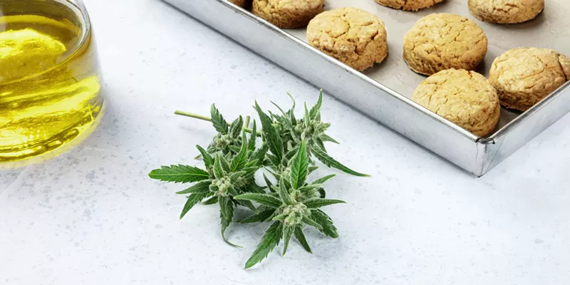 Image: Making cannabis oil at home for muscle rubs, salad dressings, and therapeutic uses is easier than you might think.