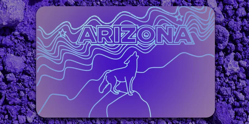 Image: a black light design of a coyote howling with mountains and "Arizona" written