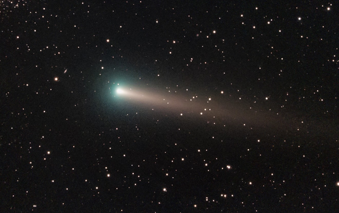 A glimpse at Comet Leonard from earlier this month.