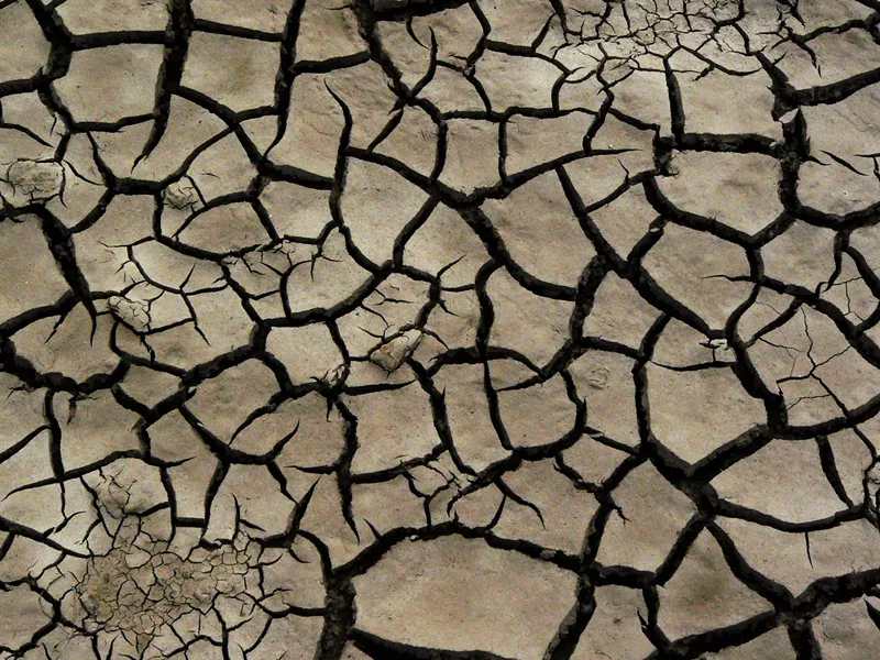 Image: parched land