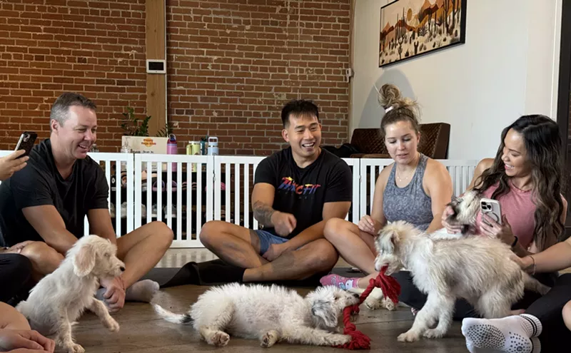 Image: We tried puppy yoga in central Phoenix. Here's what we learned