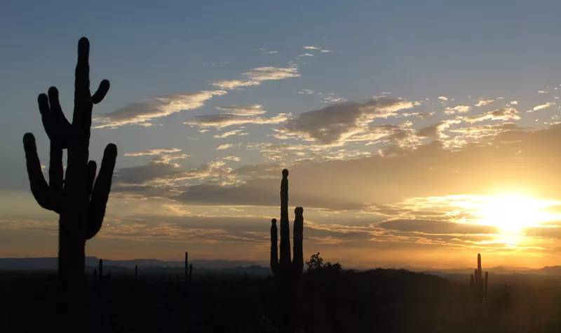 Image: Sunrise in the desert.