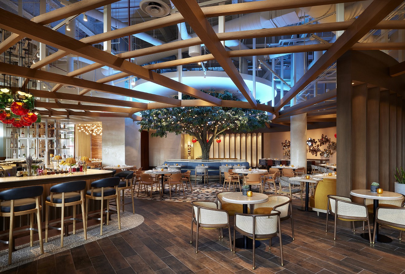The interior of Carcara is anchored by a 14-foot tree.