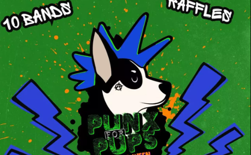 Image: Punx for Pups brings together punk music and puppies for one-night festival