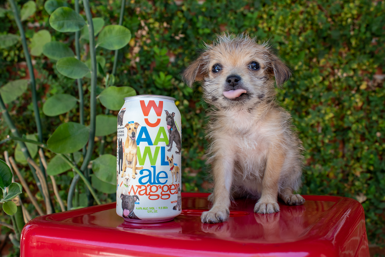 Raise money for pets with Walter Station's Ale Wagger.