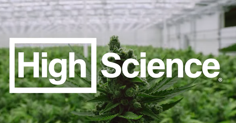 Image: the high science logo against a backdrop of a weed plant