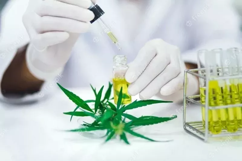 Image: Delta 8 THC, a compound found in cannabis plants, reportedly delivers a gentler, more clear-minded high. Its legal status in Arizona and elsewhere, though, is anything but clear.
