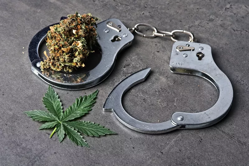 Image: handcuffs around a weed flower