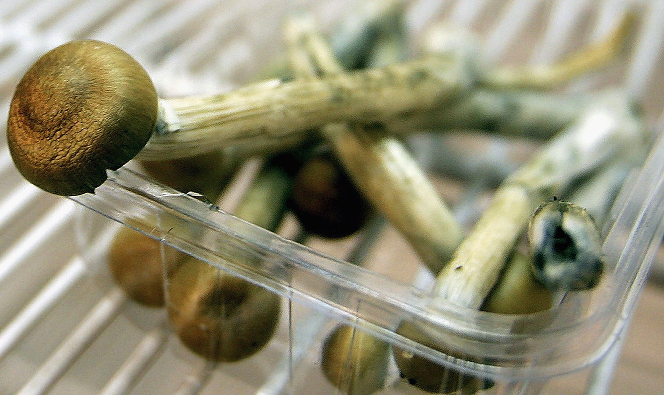 The medical benefits of magic mushrooms are getting renewed attention to thanks to $5 million in state funding.