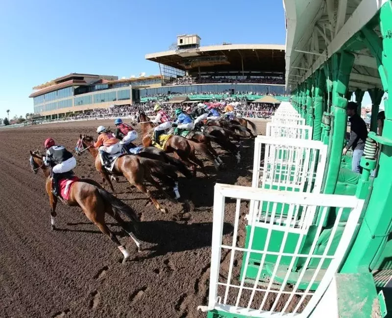 Image: It's going to be a full day of racing and partying at the Derby DayClub in west Phoenix.