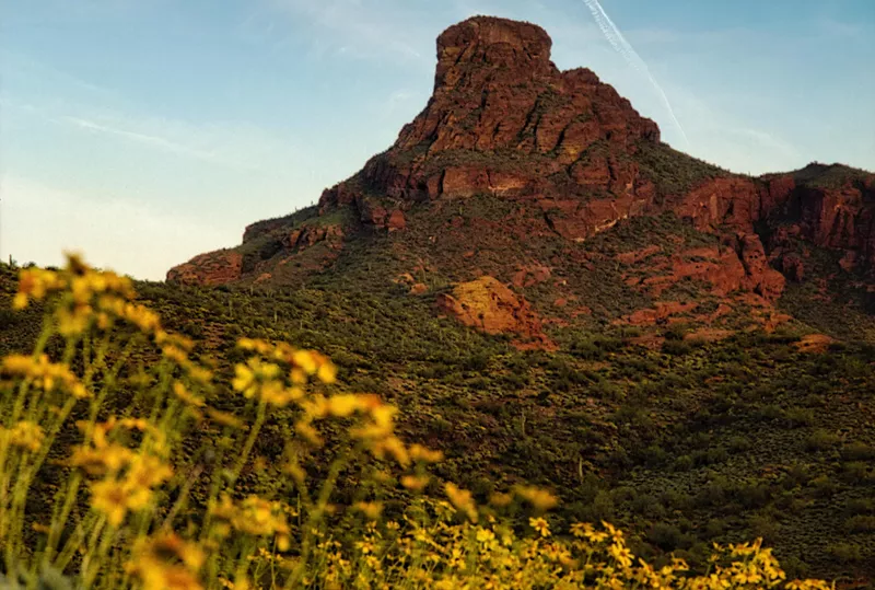 Image: A mountain with wildflowers in the foreground.