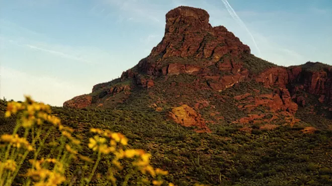 A mountain with wildflowers in the foreground.