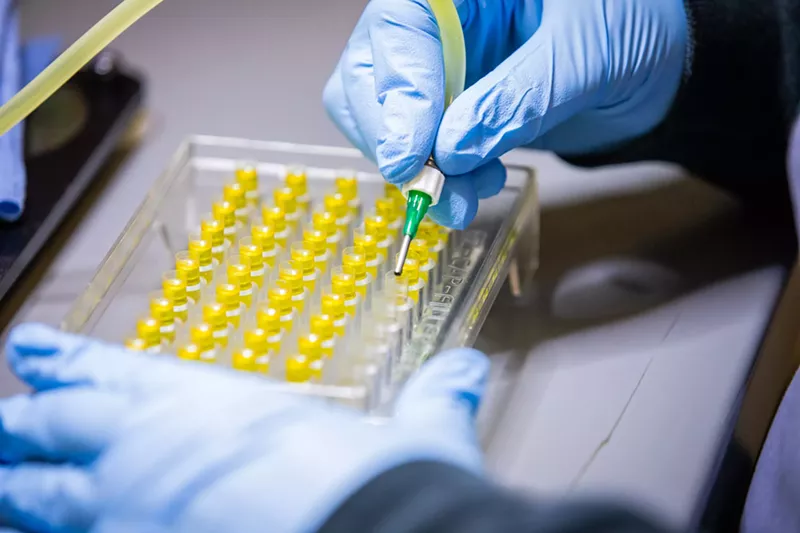 Image: A pen-like machine squirts a precise dosage of THC oil into the capsule halves.