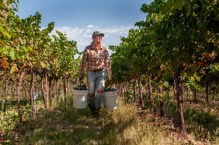 Vino Stache Sells Arizona Wine Throughout Phoenix. Meet the Owner, A ...