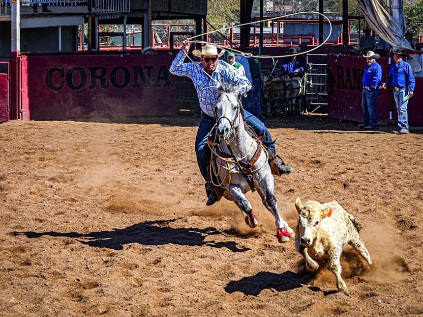 Cowboy with lasso at Arizona Gay Rodeo