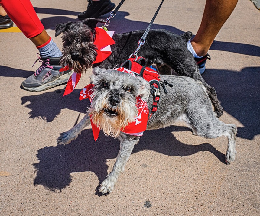 Dogs at AIDS Walk Arizona