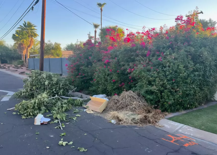 Trash and tree branches piled up on a residential street awaiting pickup.