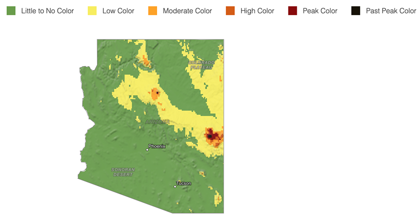 a fall foliage map of Arizona showing mostly green (little to no color) and yellow (low color)