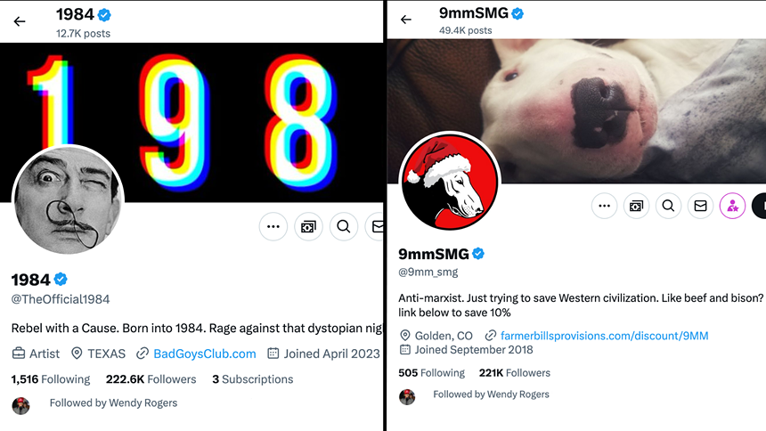 two social media accounts followed by wendy rogers