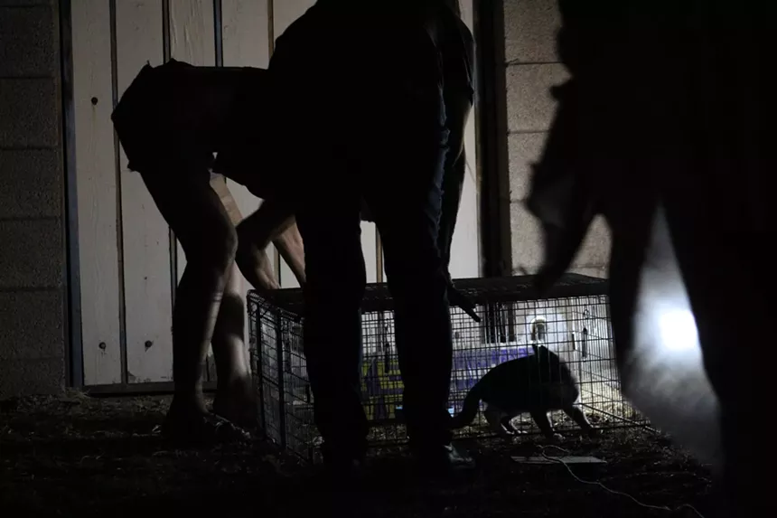 three women stand over a cat trapped in a cage