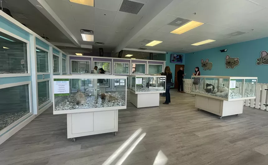 the interior of a pet store