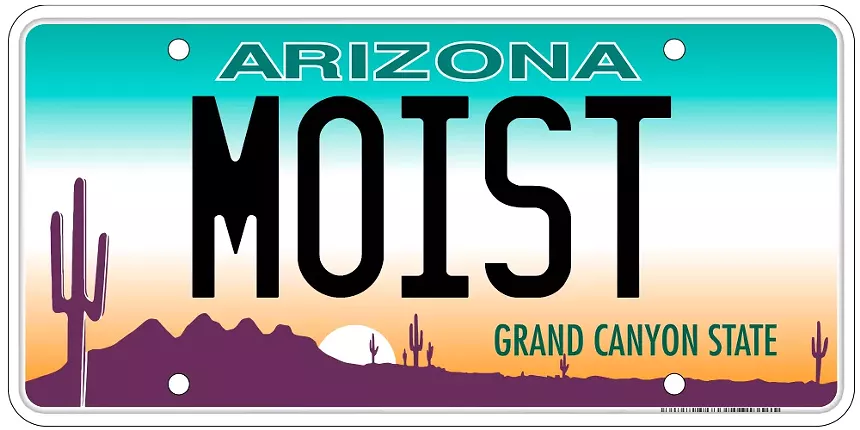 an arizona license plate that says "MOIST"