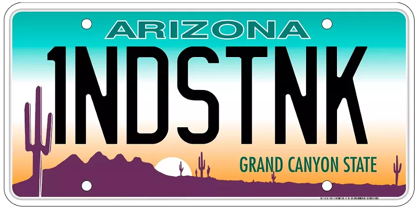 an arizona license plate that says "1NDSTNK"