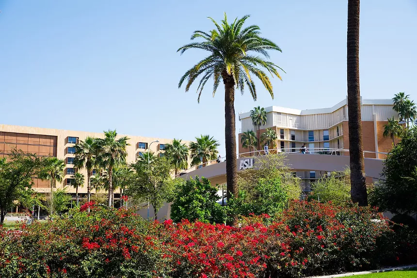 trees and bushes in front of an ASU building