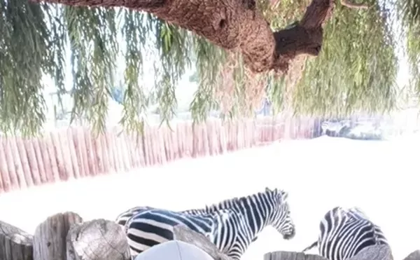 Scottsdale Man Invents Cannabis-Infused Water, Swears by Health Boost