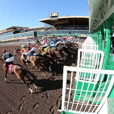 It's going to be a full day of racing and partying at the Derby DayClub in west Phoenix.