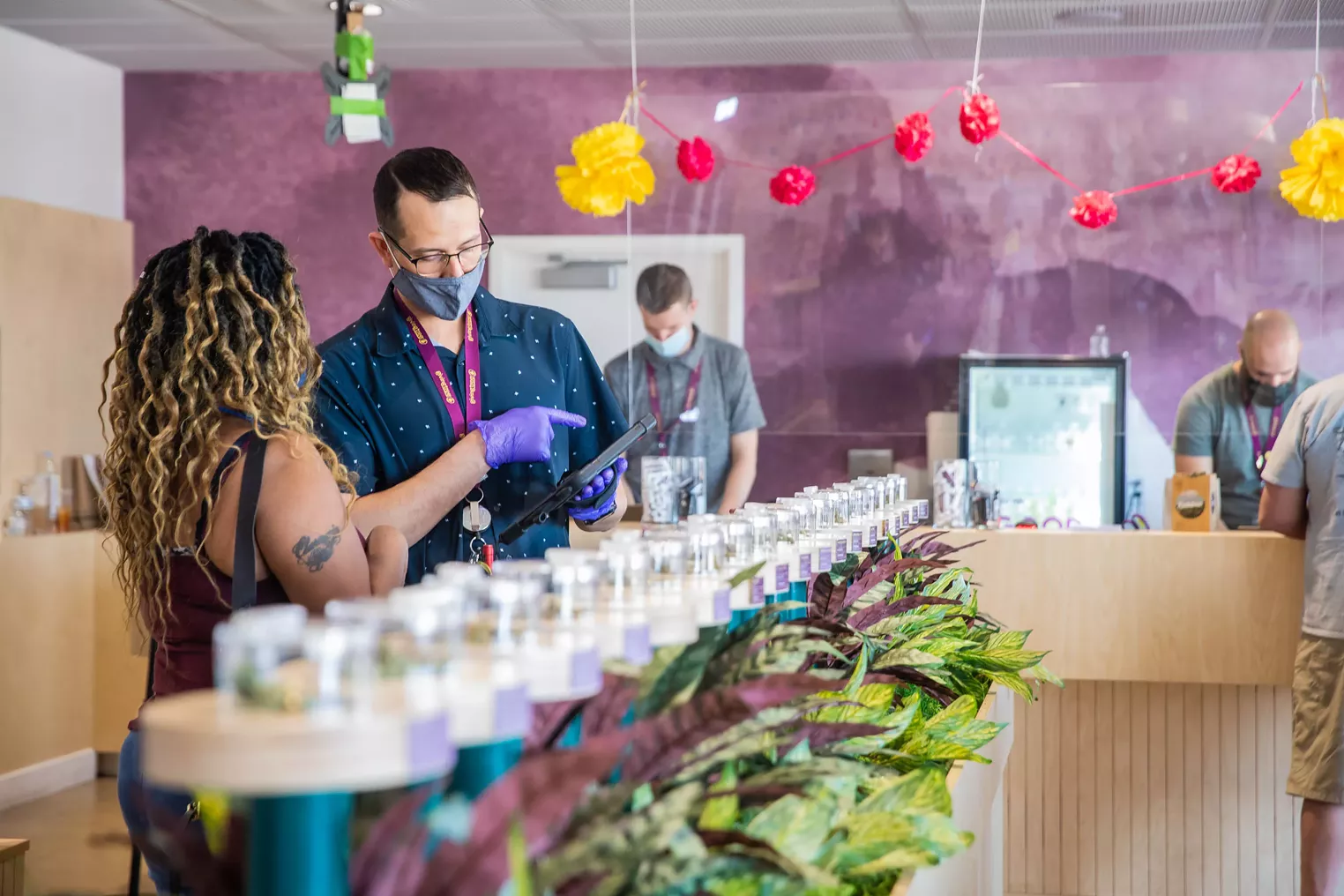 Visual Aid Take a Tour of Giving Tree's Dispensary and Cultivation Center Phoenix Phoenix