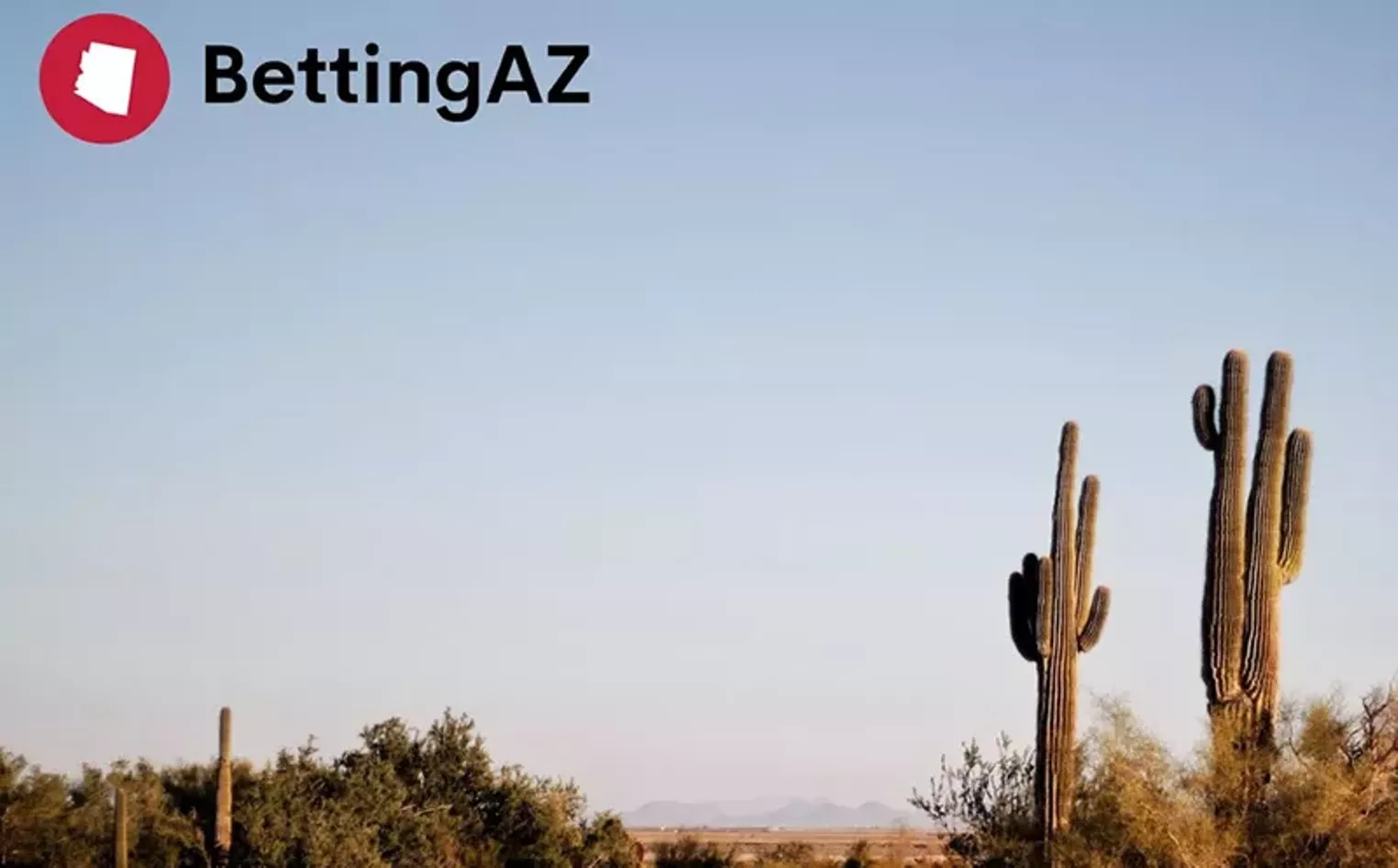 Betting Az Is Now Launched To Help Arizona Gamers - Vimarsana News