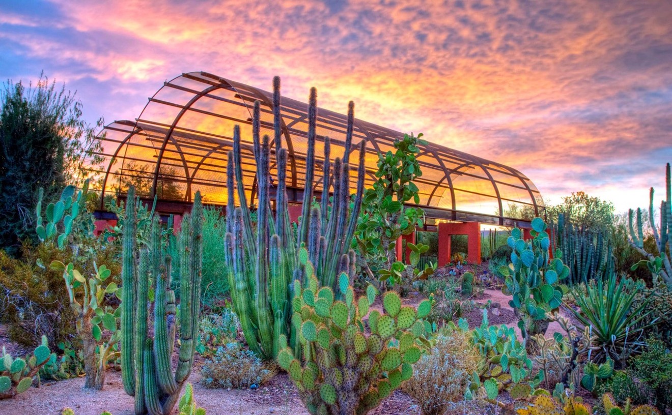 Vogue magazine puts Desert Botanical Garden on Best U.S. Gardens list