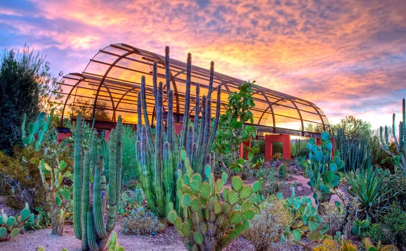 Image: Vogue magazine puts Desert Botanical Garden on Best U.S. Gardens list