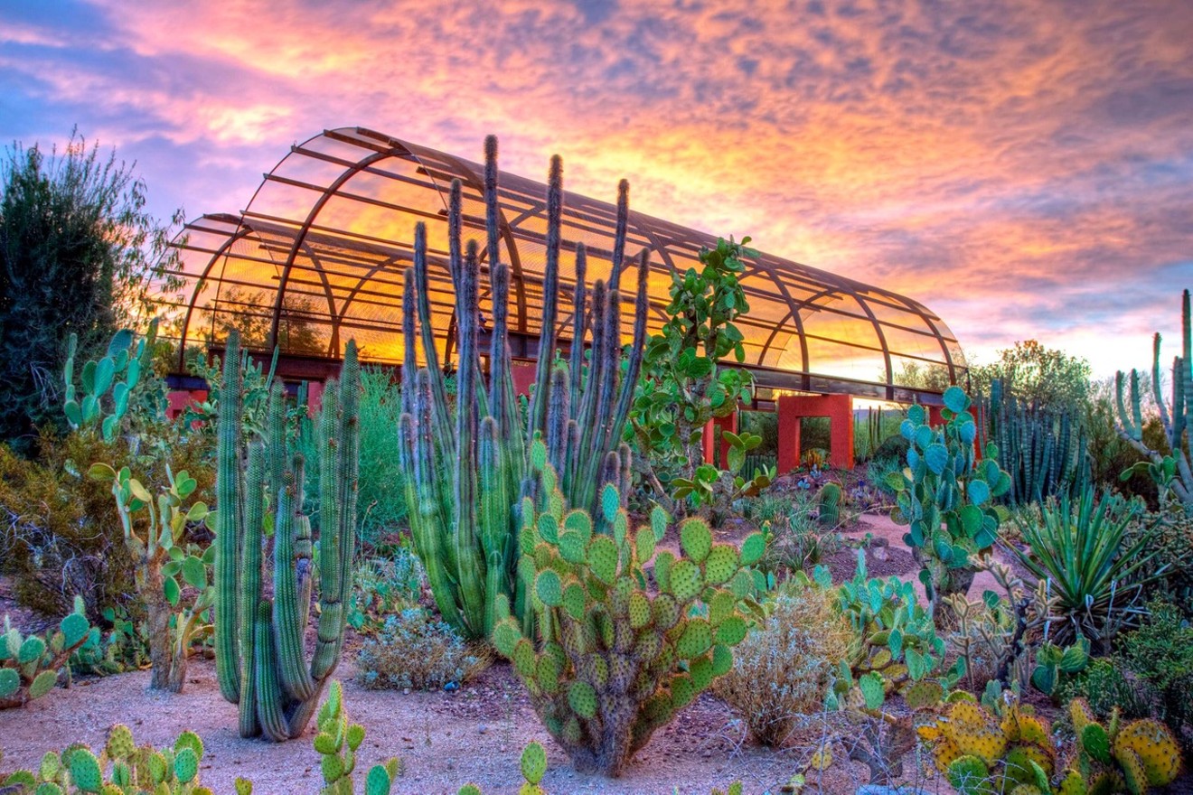 The Desert Botanical Garden has been named one of the best botanic gardens in the U.S.