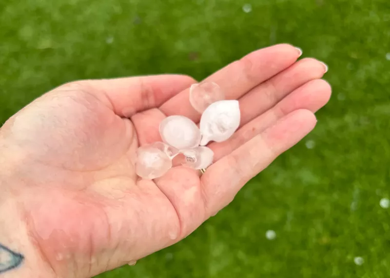 Image: a hand holding hail stones